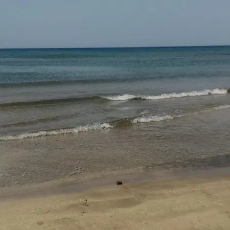 Sole